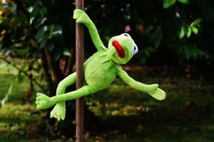 Frog puppet demonstrates the pole move 'Frog Pose' on his outdoor pole
